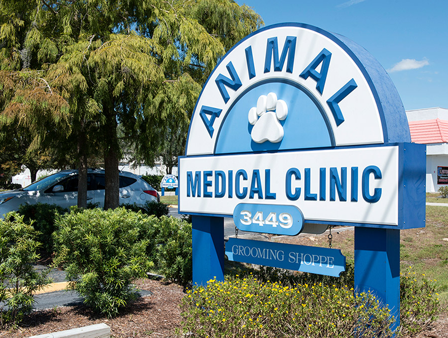 Contact the Animal Medical Clinic of Spring Hill