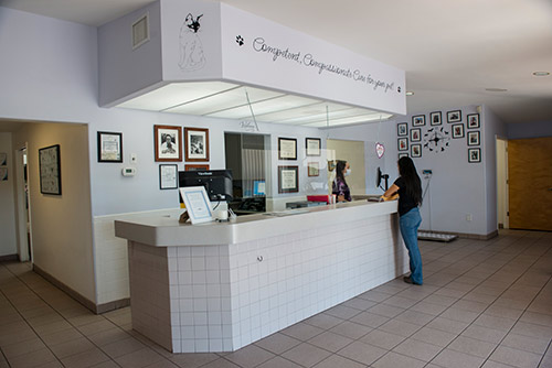 Animal Medical Clinic of Spring Hill front desk